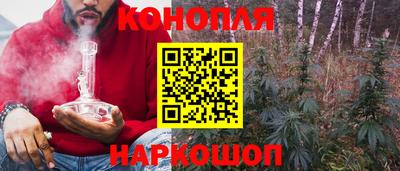 эйфоретик Новокубанск
