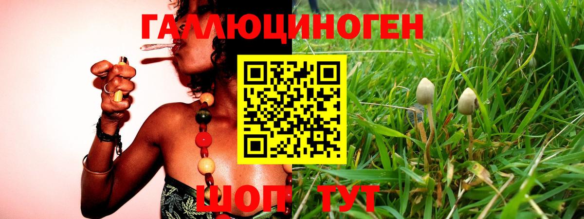 где купить наркотик  Псилоцибиновые грибы мицелий  Вход с VPN  Галлюциногенные грибы прущие грибы  Салехард 